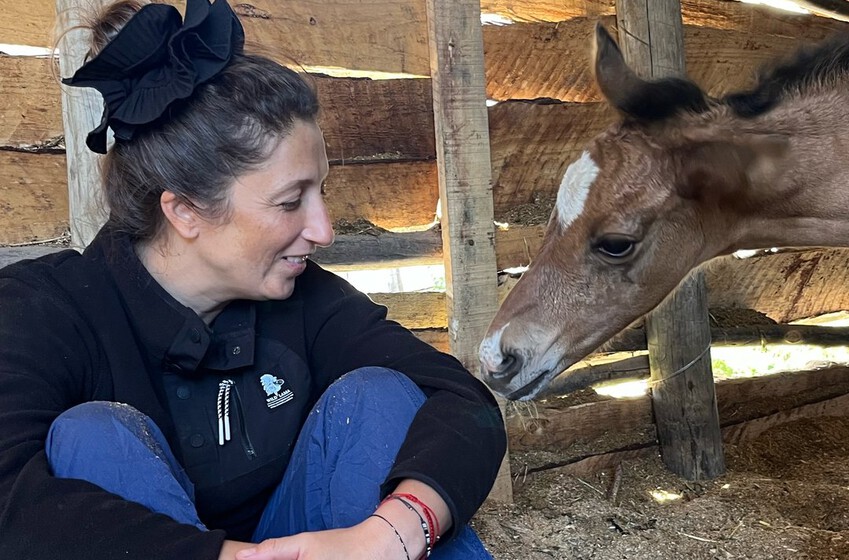 Alumni de Medicina Veterinaria UM estuvo detrás de la primera potranca clonada en Chile