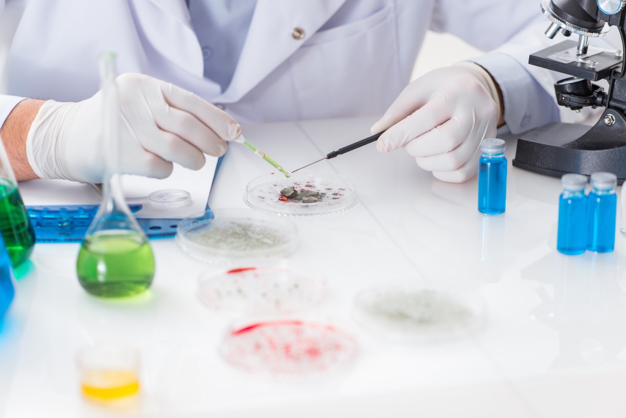 SALUD//Acemumt organiza primera versión del curso de Infectología para el futuro médico general