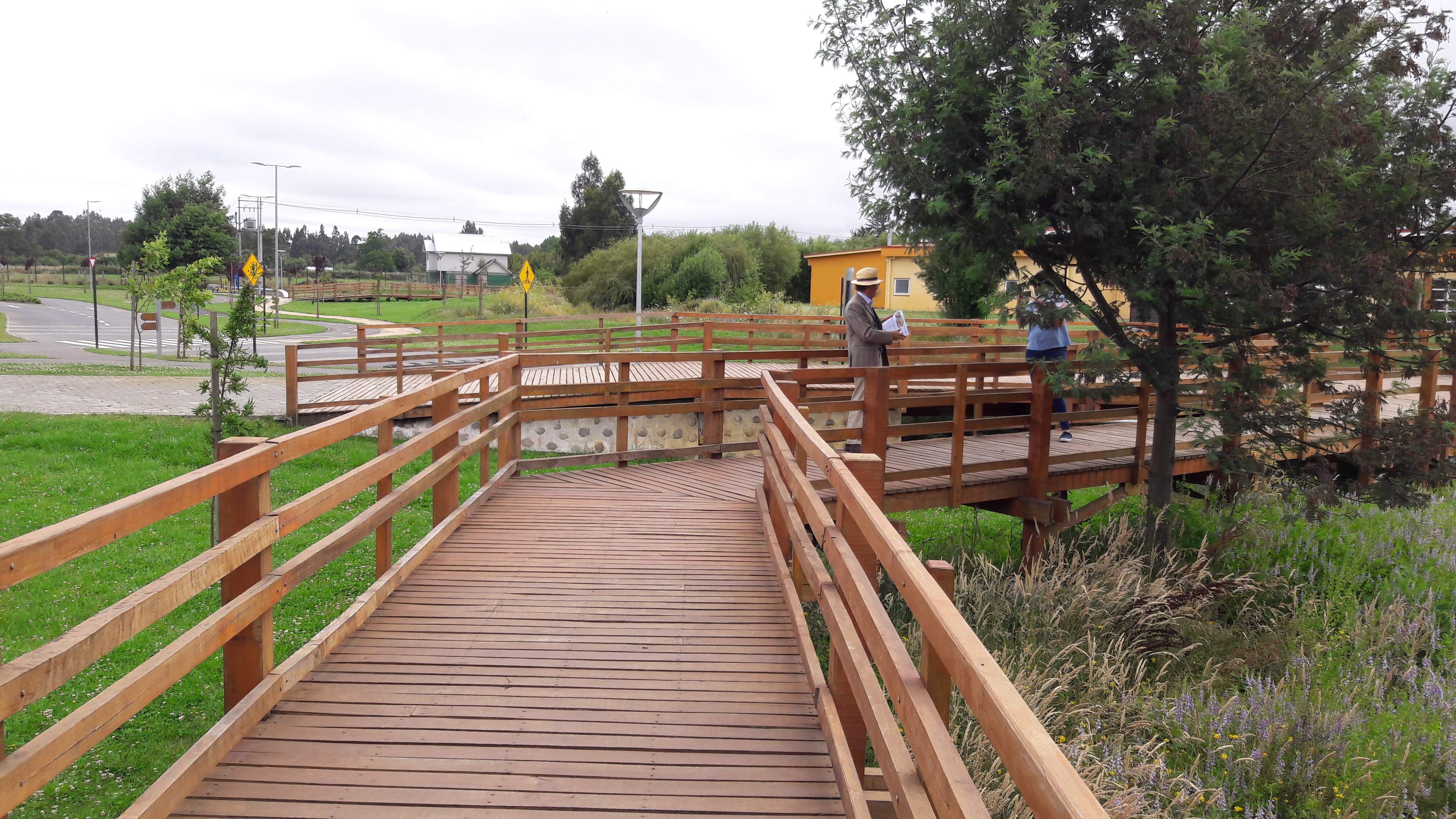 CONSERVACIÓN//¿Cuál es el rol que cumplen los humedales urbanos de Temuco y Padre Las Casas?