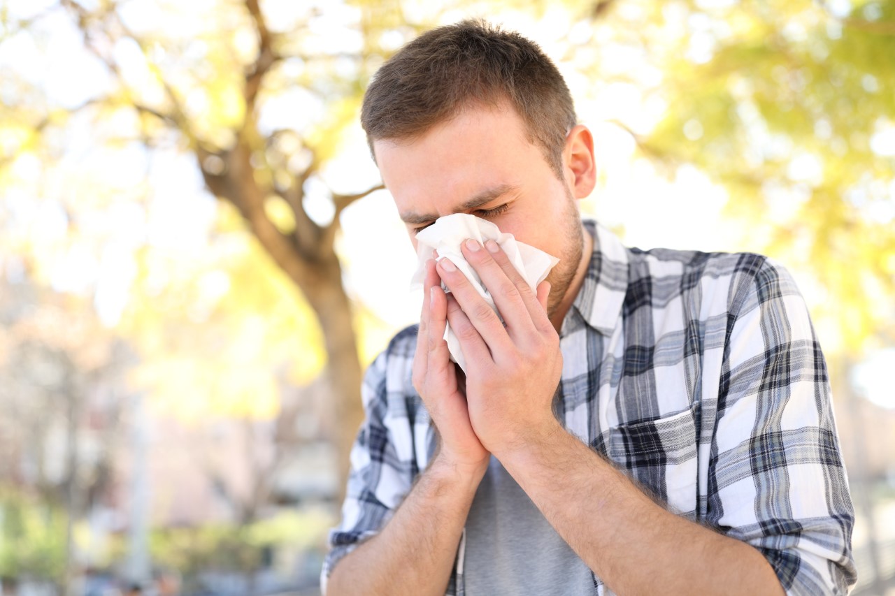 SALUD//Alergia estacional y Covid-19, ¿cómo diferenciar los síntomas ante la llegada de la primavera?