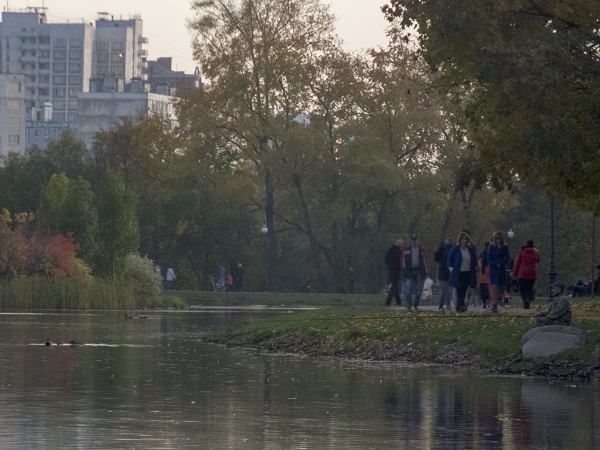 MEDIOAMBIENTE//Webinar abordará la importancia de los humedales urbanos y algunas estrategias para su manejo y conservación