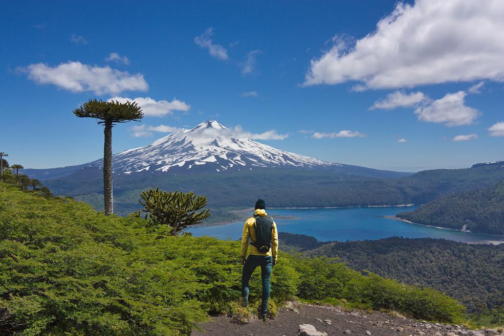 VANGUARDIA//Turismo Sustentable y Animación Digital, las nuevas apuestas para la Admisión 2020 de la Universidad Mayor