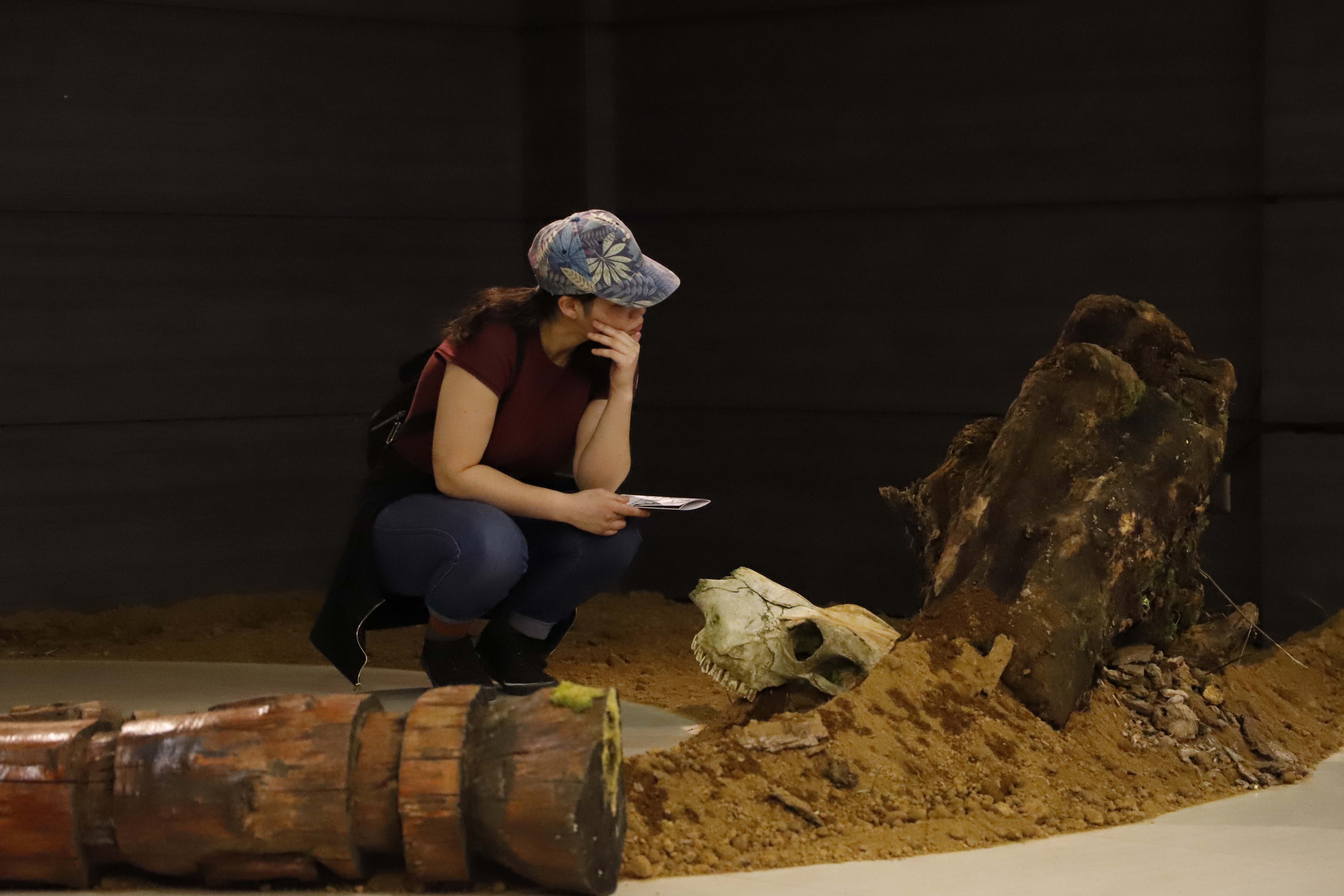 ARTE//“Territorios en tensión”, la nueva muestra del Ficwallmapu llega a la Sala de Arte de la Sede Temuco