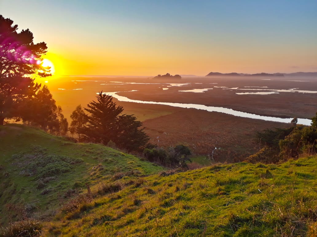 PATRIMONIO//Académicos U. Mayor promueven iniciativa para declarar humedal de Monkul como sitio Ramsar