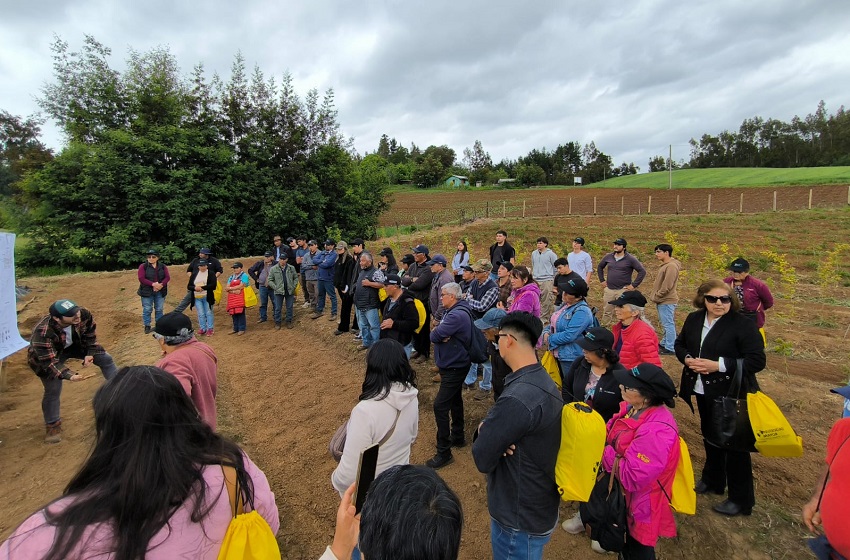 Expertos de la U. Mayor asesoraron a pequeños agricultores de la costa de La Araucanía