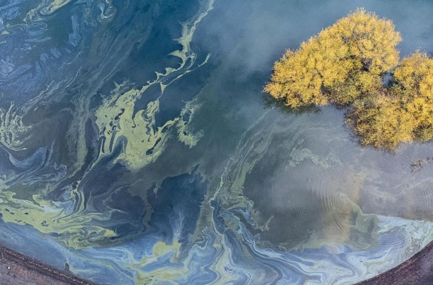 Científicos detectan aumento de algas tóxicas en el lago Villarrica usando datos satelitales