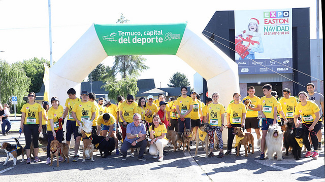 FAMILIAR//Dog Run: 200 personas con sus mascotas corrieron por la Teletón