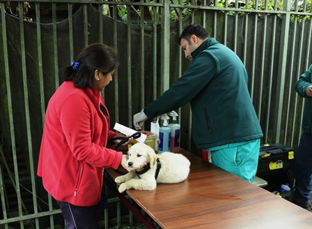 SALUD PÚBLICA// Estudiantes de Medicina Veterinaria participaron de Día Mundial Contra la Rabia