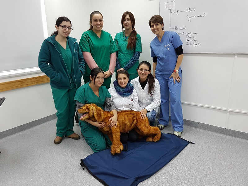 Veterinaria//Nuevo Hospital Veterinario de la U. Mayor realizó talleres de formación profesional