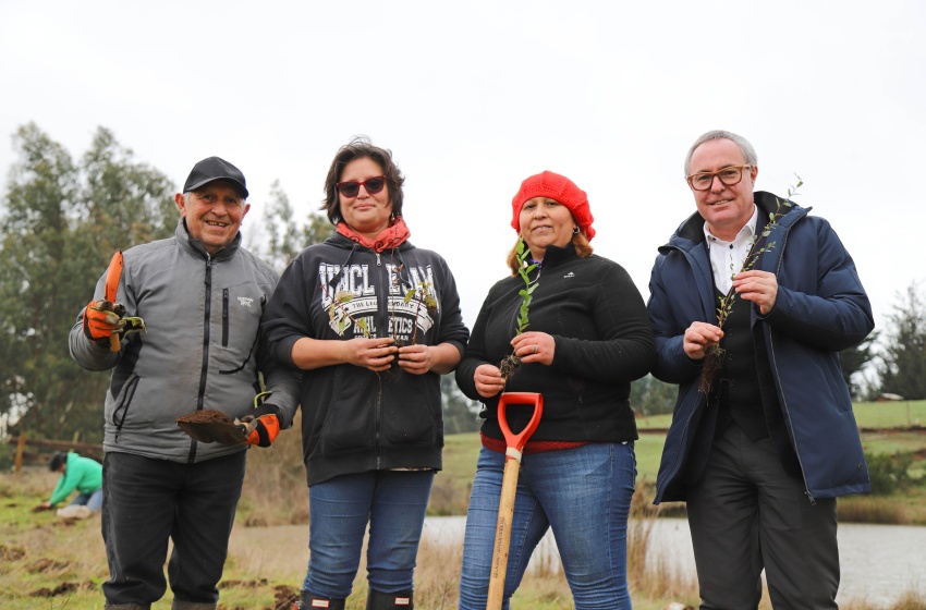 Territorio Mayor planta árboles nativos en localidad de Boldoche en La Araucanía