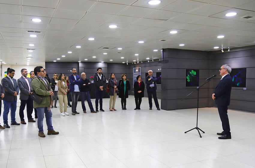 Universidad Mayor invita a la muestra “Corazón fluorescente” en su Sala de Arte