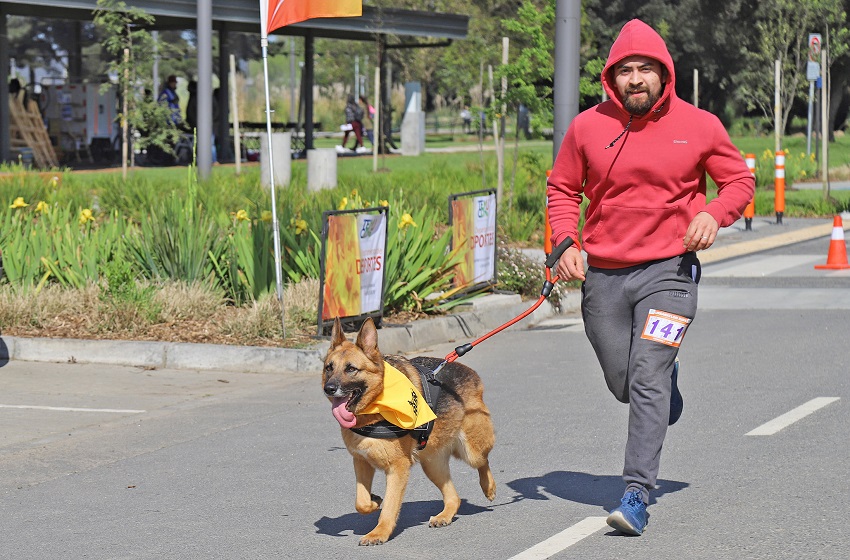 Universidad Mayor y Municipalidad de Temuco invitan a nueva versión de la Dog Run en Parque Isla Cautín