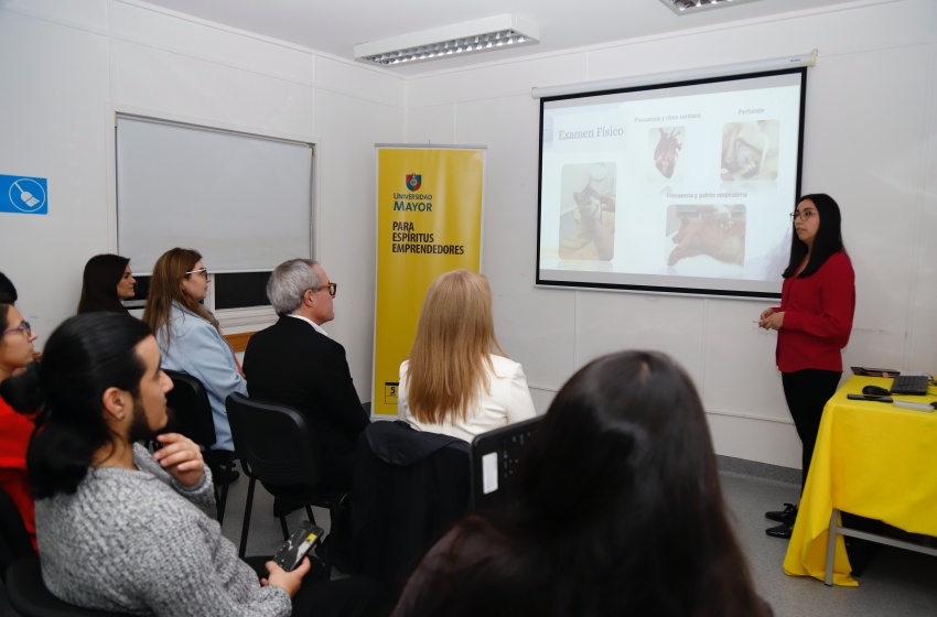 Hospital Veterinario presentó nuevo servicio de endoscopía único en la Región
