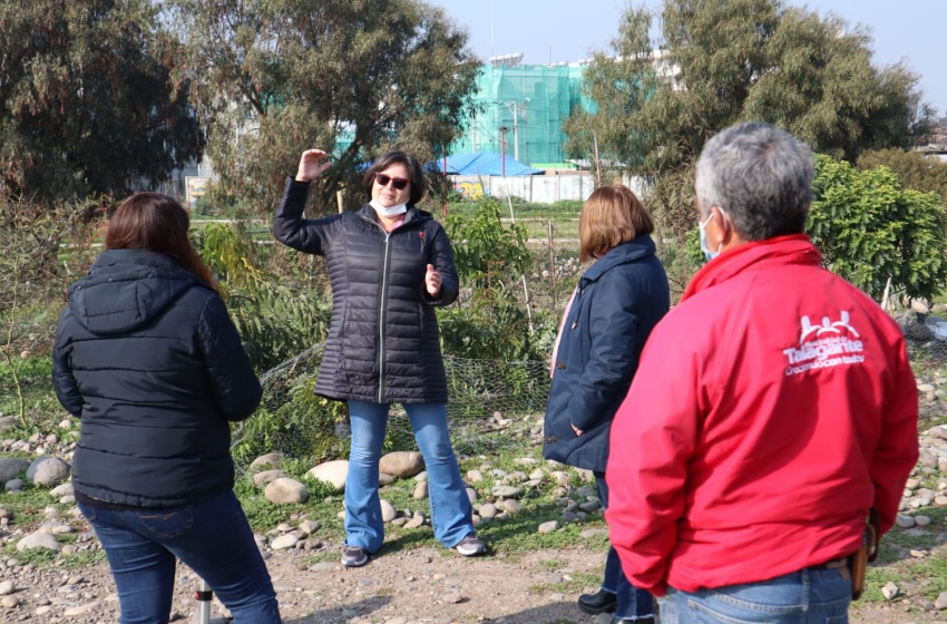 Territorio Mayor avanza en propuesta de intervención junto a Municipalidad de Talagante
