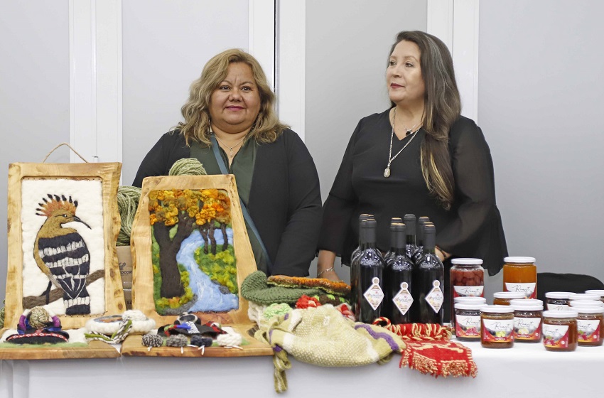 Con presencia de emprendedores lanzan temporada de verano del Geoparque Kütralkura