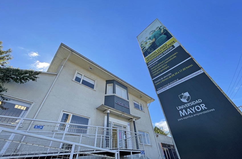 Hovet de la sede Temuco mantiene abiertas sus puertas durante el verano