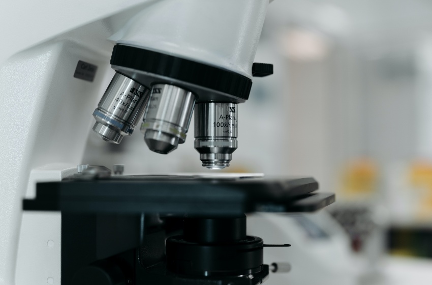 Fondos, colaboraciones y nuevos talentos: sede Temuco busca crecer en investigación