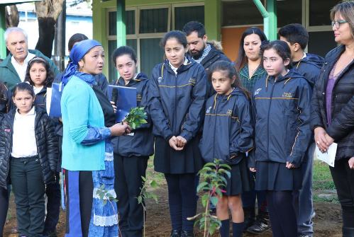 MEDIOAMBIENTE//Territorio Mayor desarrolló proyecto de huertos verticales y jardín de lluvias en Escuela Los Avellanos de Temuco