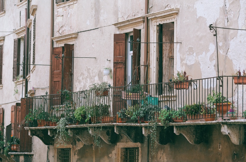 Plantas de exterior: conoce los beneficios de contar con infraestructura verde en terrazas