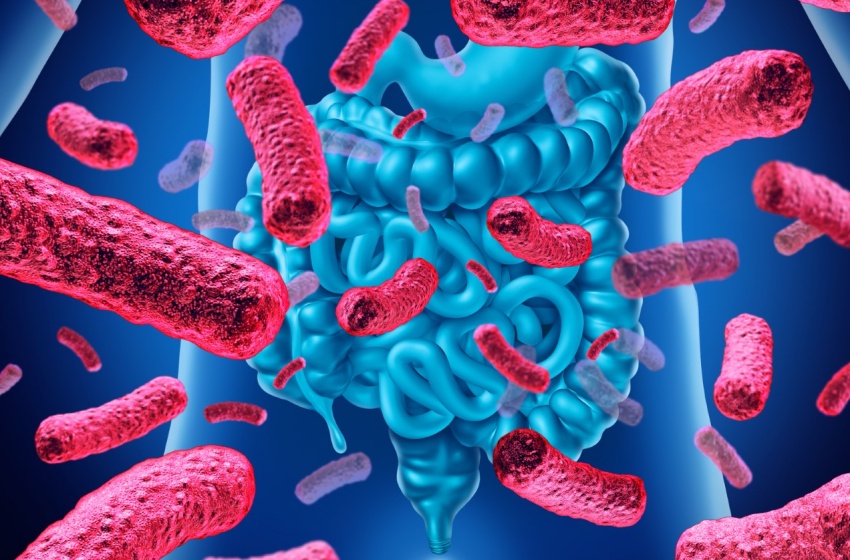 Experto U. Mayor explica cuál es el rol de la microbiota intestinal en la salud humana