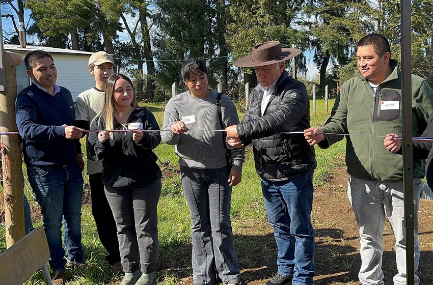 Agronomía inaugura Módulo Frutícola en Vilcún: un espacio para la docencia, la investigación y la Vinculación con el Medio