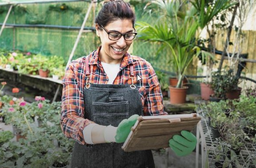 Programa de Innovación Empresarial Mujer Re Emprende