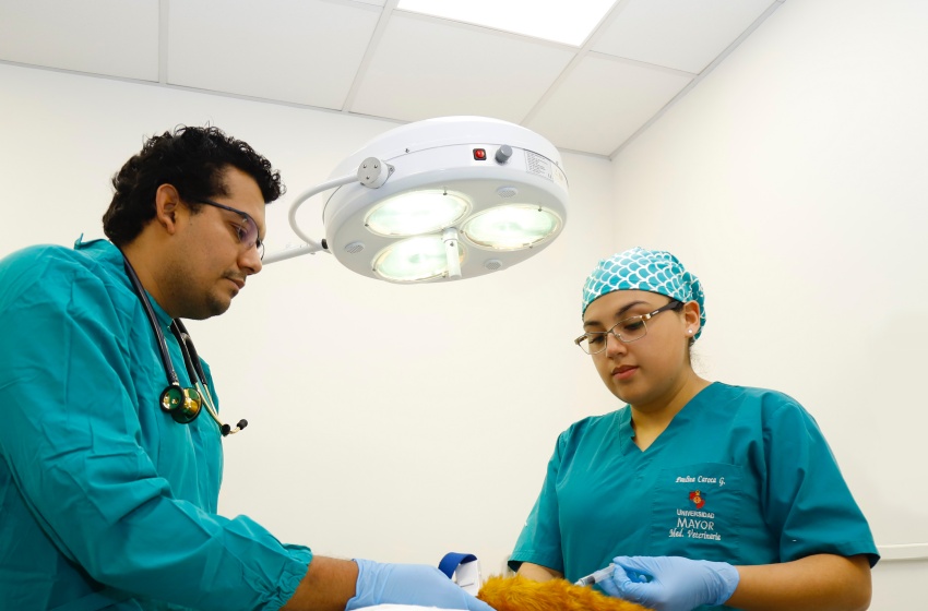 Simulación veterinaria en la Universidad Mayor, una valiosa herramienta de aprendizaje