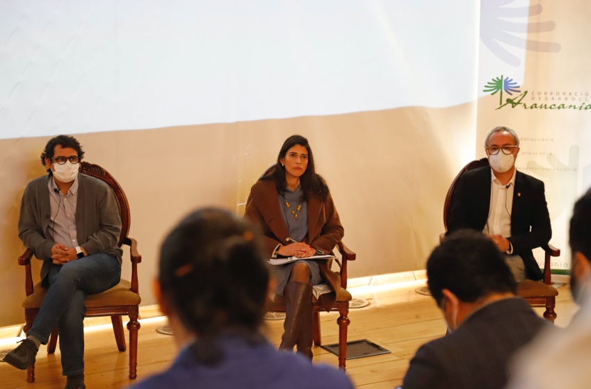 Vicerrector regional participó en panel sobre mapeo de Industrias Creativas en La Araucanía
