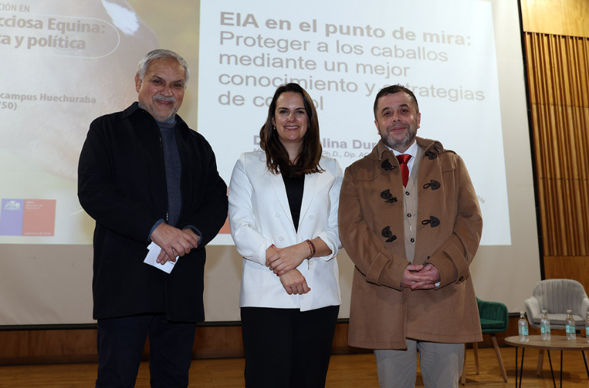 Universidad Mayor y SAG lideran jornada clave para enfrentar emergencia por Anemia Infecciosa Equina en Chile