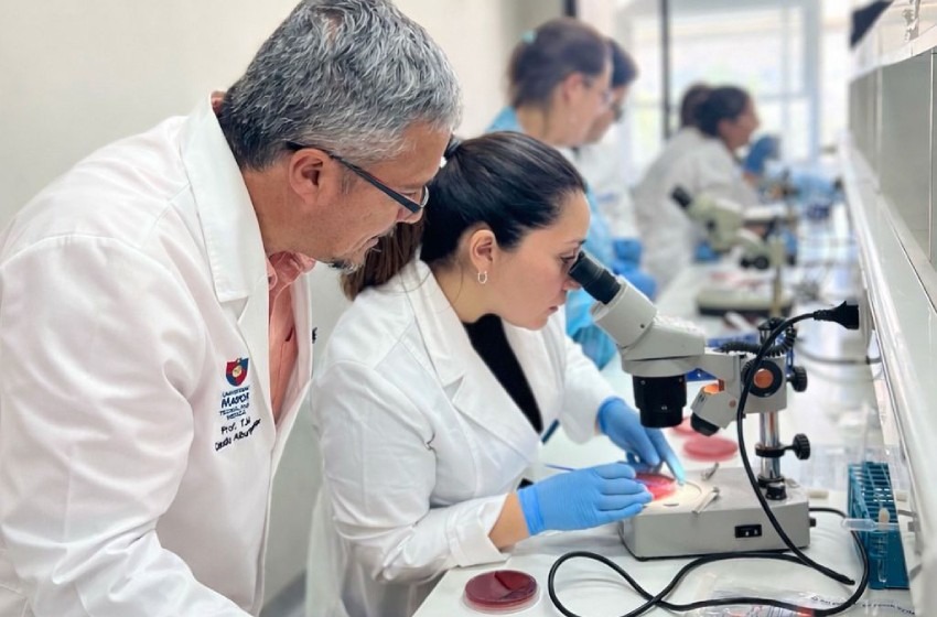 Tecnología Médica y BD Chile capacitaron a profesionales de campos clínicos en diagnóstico de bacterias anaerobias