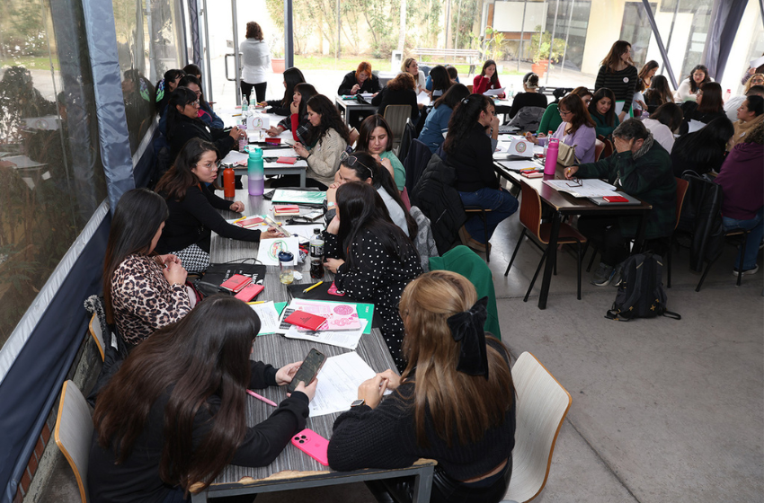 Carrera de Pedagogía en Educación Diferencial capacitó a 50 profesores en competencias socioemocionales