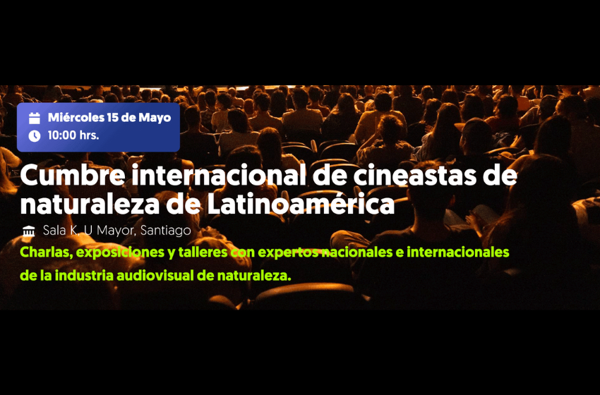 U. Mayor participará por primera vez en el Festival Santiago Wild
