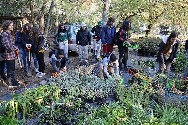 Admisión//Conoce las ventajas y convenios que tiene estudiar Ingeniería Forestal en la U. Mayor