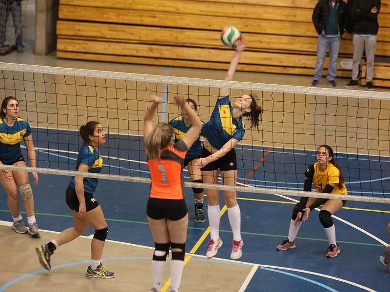 Dirección de Deportes llevó a cabo una exitosa Copa de Intercambio