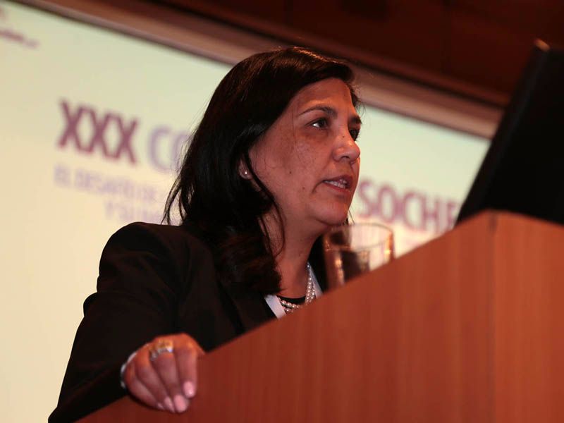 Reconocimiento//Directora de la Escuela de Ingeniería U. Mayor integrará el directorio de SOCHEDI