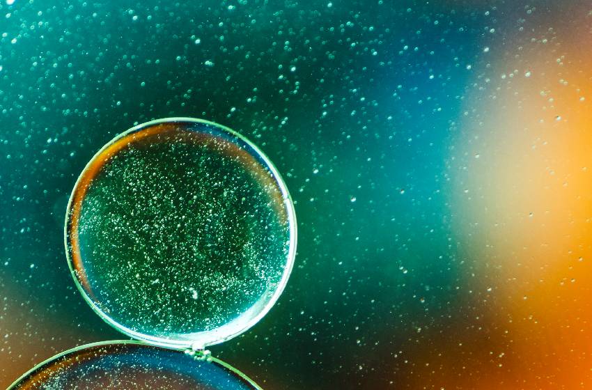 Proyectos U. Mayor se adjudicaron fondos de Startup Ciencia 2025 de ANID