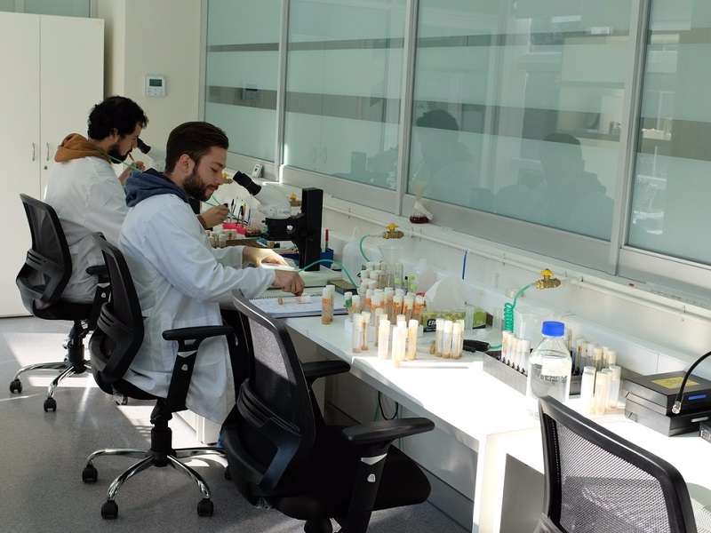 COMISIÓN//El Doctorado en Neurobiología de la U. Mayor obtiene la autorización de la MSCHE