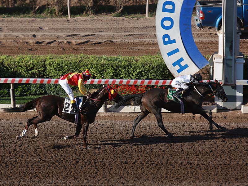 Hípica// El caballo “Forlán” se quedó con una nueva versión del Clásico Universidad Mayor 2019