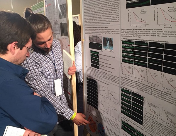 Investigación// U.Mayor participó en Congreso de Biología Celular en Puerto Varas