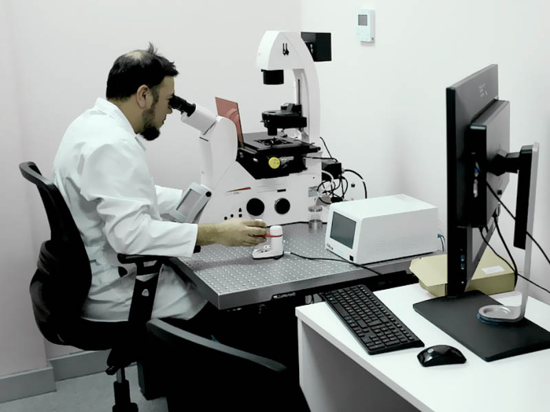Doctorado//U. Mayor abre postulaciones para doctorado en Neurobiología