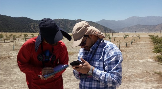 Encuentro// Escuelas de Ingeniería Forestal, Geología y Biotecnología proyectan nuevas líneas de trabajo junto a Minera Valle Central