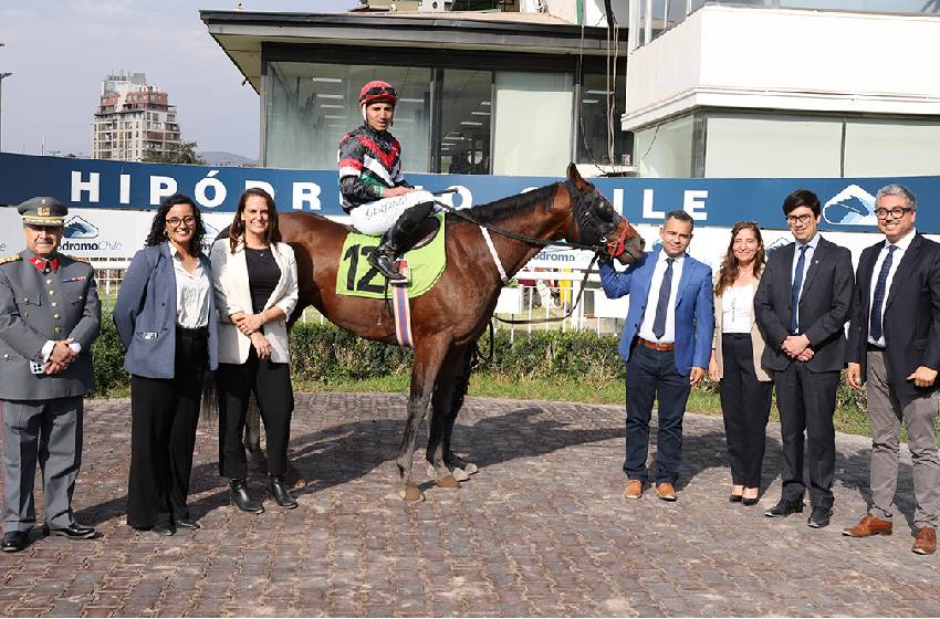 “Good Traffic”, el caballo rehabilitado por la U. Mayor que triunfó en el Hipódromo Chile