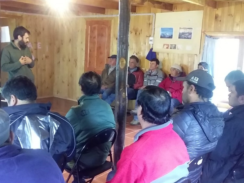 Bosques// Escuela de Ing. Forestal presenta evaluación realizada en bosques nativos en la Araucanía