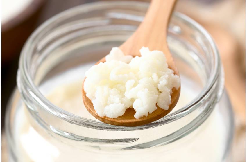 Biotecnólogos investigarán las propiedades de la comida fermentada para retrasar enfermedades al cerebro