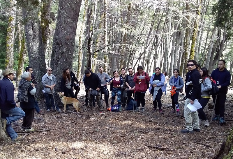Ecosistema// Estudiantes de Ing. Forestal realizan evaluación ecológica en bosques nativos de Lonquimay