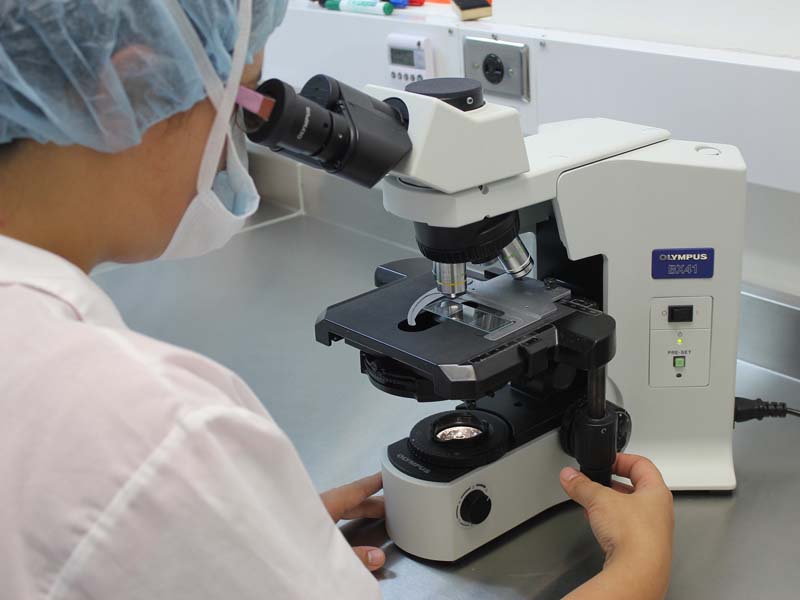 Fondos//Investigadores de la Universidad Mayor se adjudicaron nuevos proyectos Fondecyt