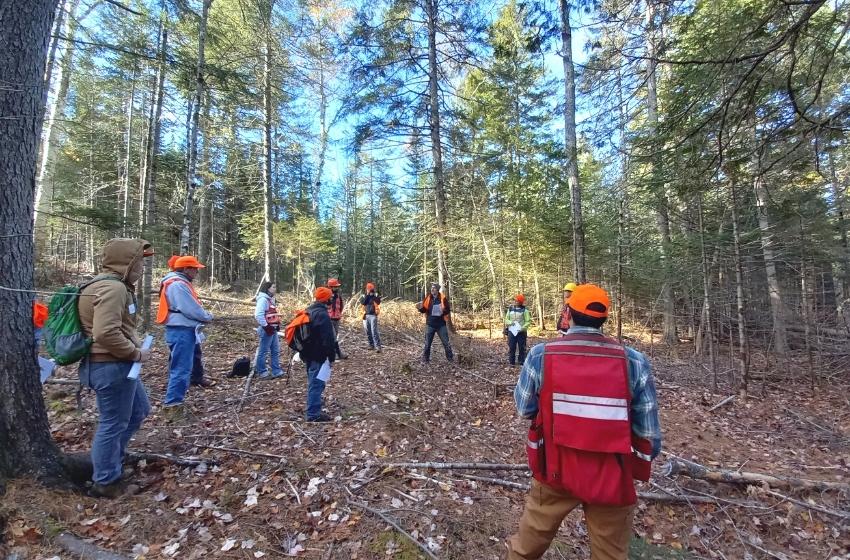Centro CEM estrecha lazos de colaboración con la Universidad de Maine para la modelación de bosques nativos