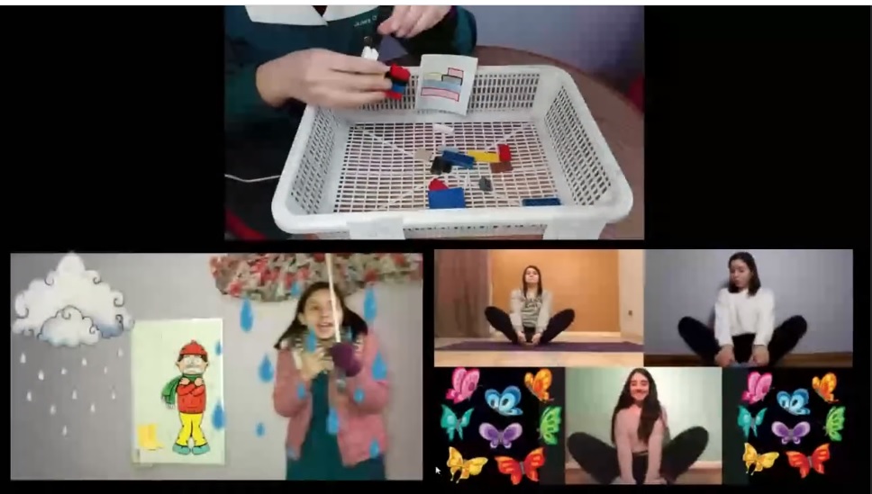 Educación // Pedagogía en Educación Diferencial realizó webinar sobre las Prácticas Pedagógicas online