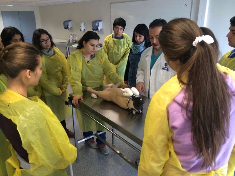 Admisión//Cientos de estudiantes participaron en los Talleres Prácticos de Primavera de la U. Mayor