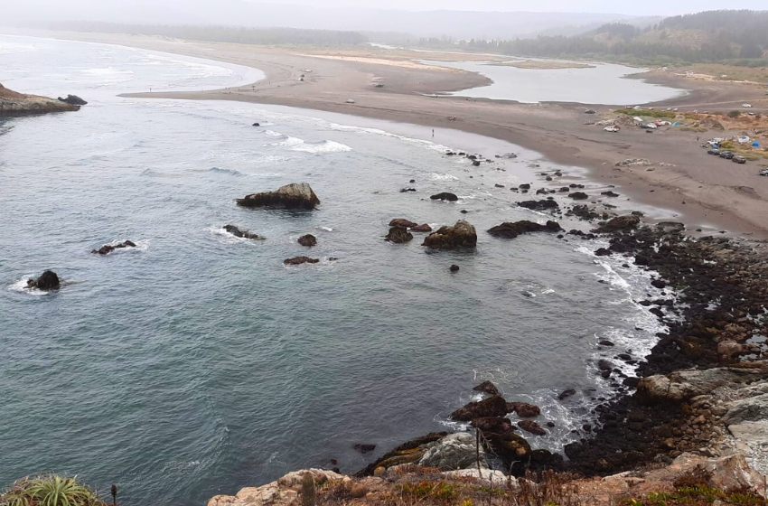 Centro Hémera extenderá proyecto de monitoreo de la costa a regiones de O’Higgins y Coquimbo